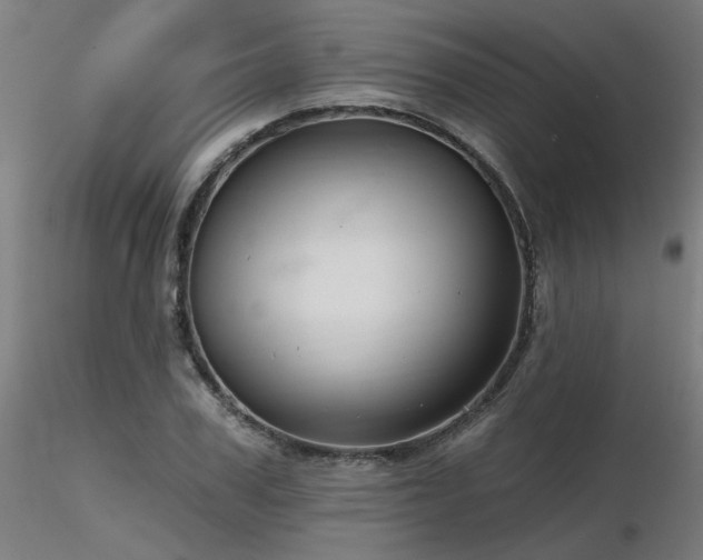X0000116770979200912171529