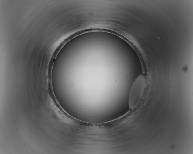 X0000116770980200912171529