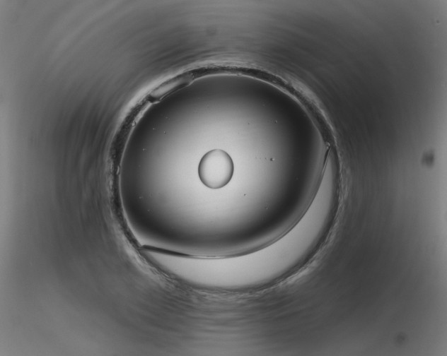 X0000116770981200912171529