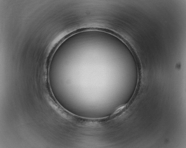 X0000116770982200912171529