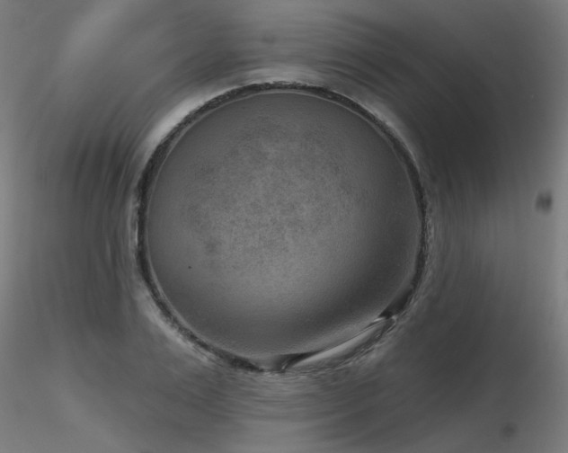 X0000116770983200912171529