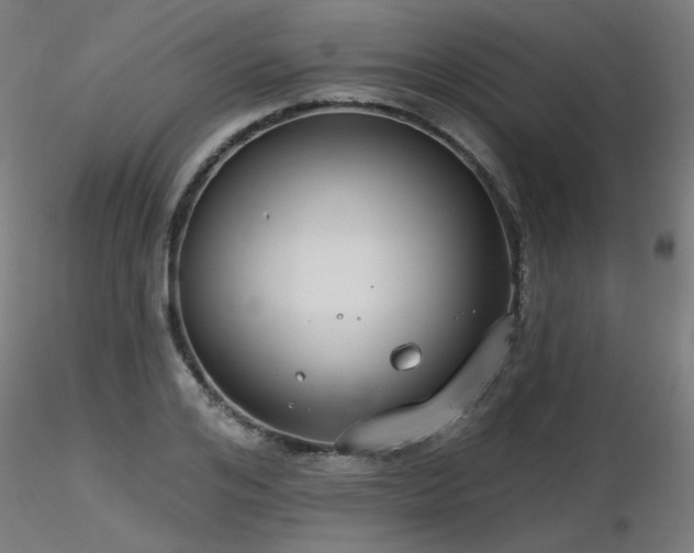X0000116770984200912171529