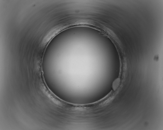X0000116770985200912171529
