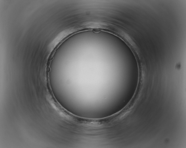 X0000116770986200912171529