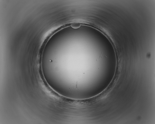 X0000116770987200912171529