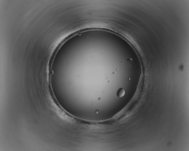 X0000116770988200912171529