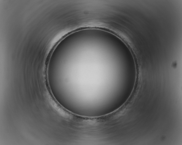 X0000116770990200912171529
