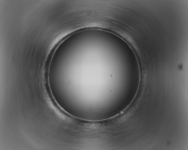 X0000116770991200912171529