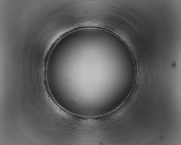 X0000116770992200912171529