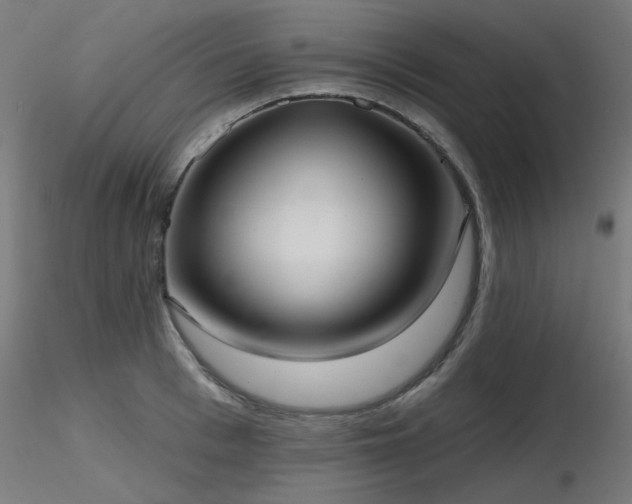 X0000116770993200912171529