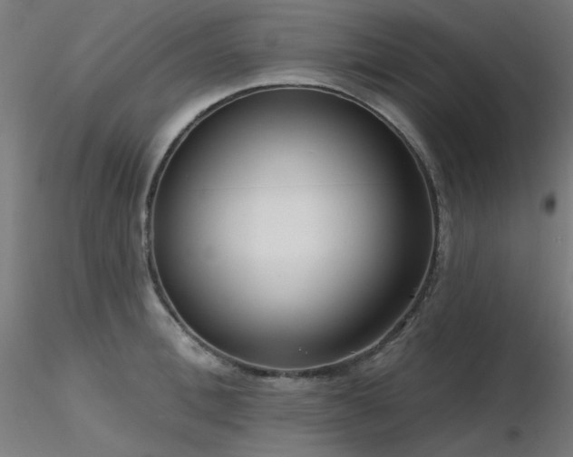 X0000116770996200912171529