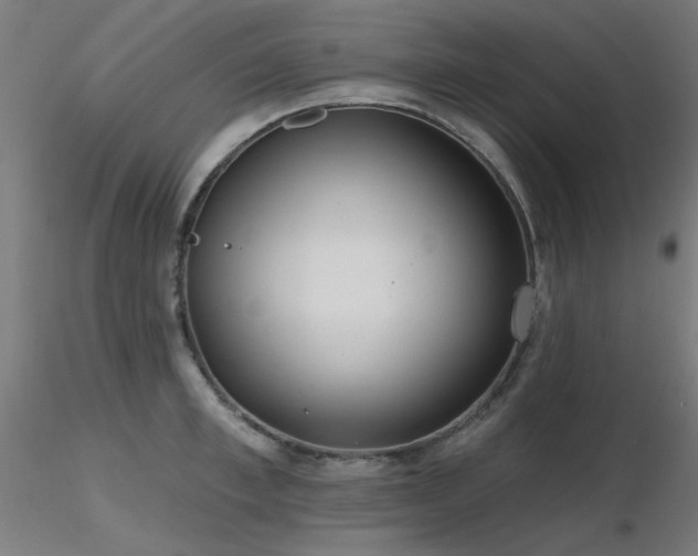 X0000116770997200912171529