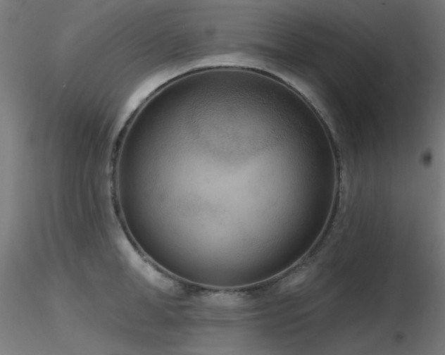 X0000116770998200912171529