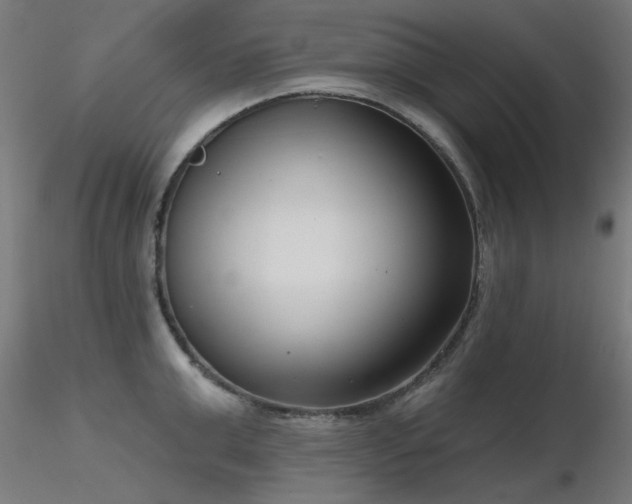 X0000116770999200912171529