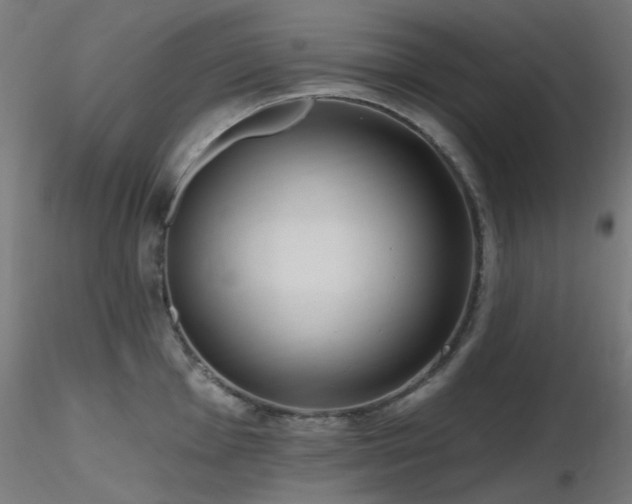 X0000116771001200912171529