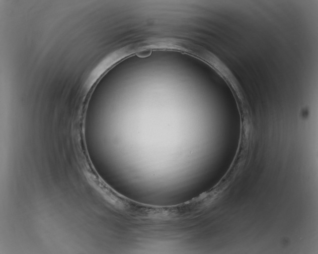 X0000116771002200912171529