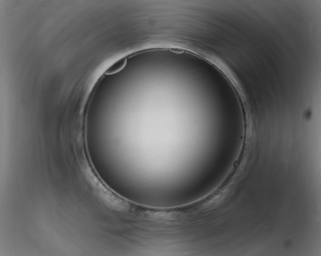 X0000116771004200912171529