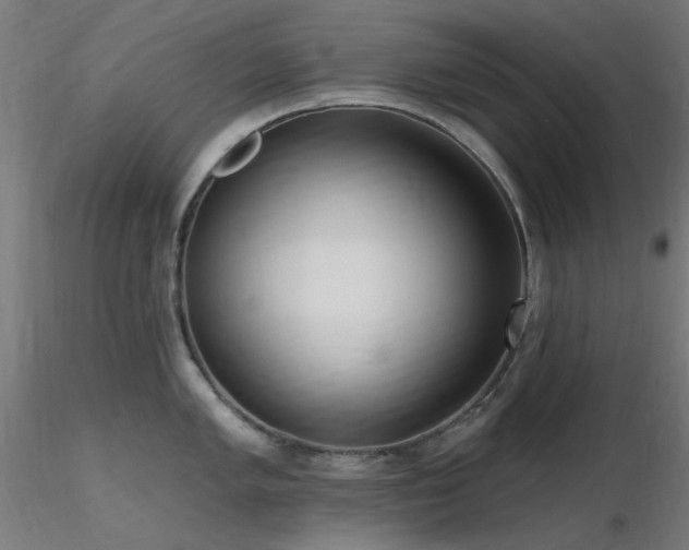 X0000116771005200912171529