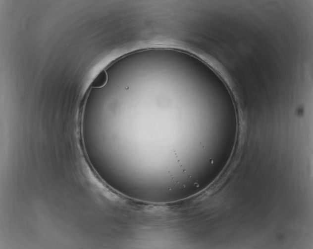 X0000116771006200912171529