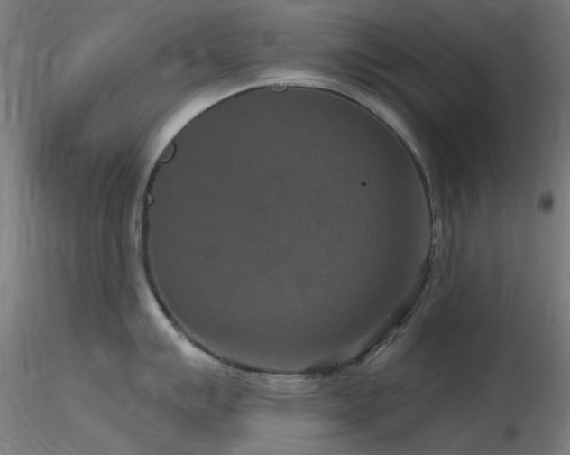 X0000116771007200912171529