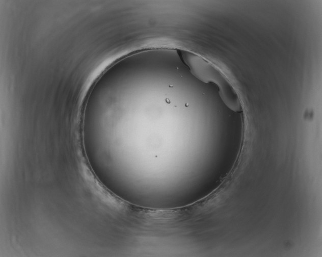X0000116771008200912171529