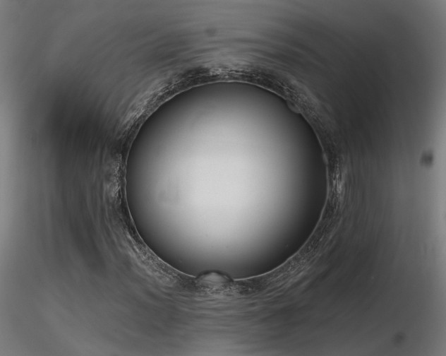 X0000116771012200912171528