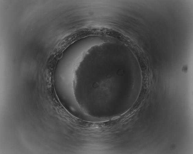 X0000116771013200912171528