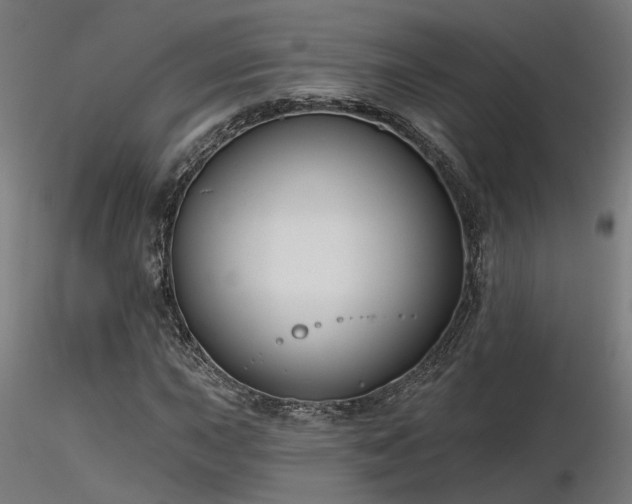 X0000116771015200912171528