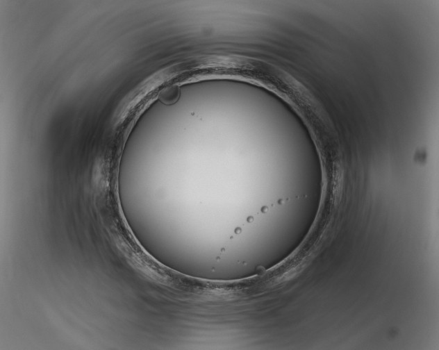 X0000116771017200912171528