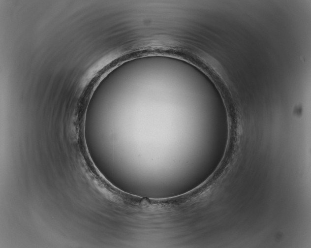 X0000116771018200912171528