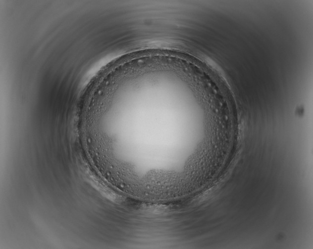X0000116771019200912171528
