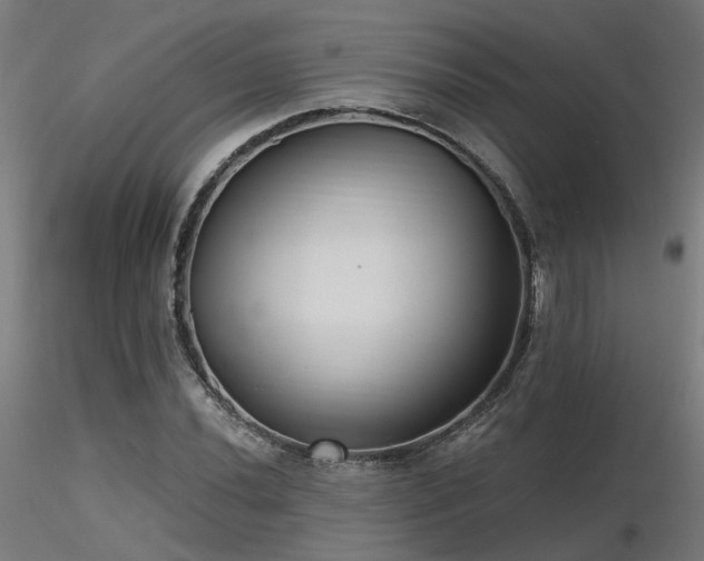X0000116771020200912171528
