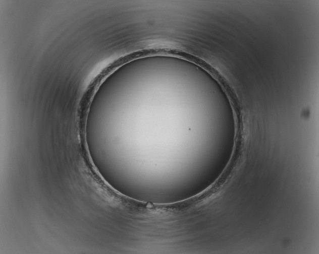 X0000116771022200912171528