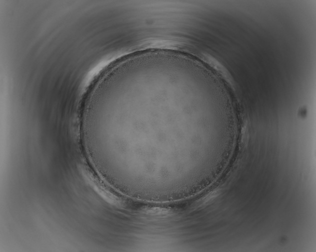 X0000116771027200912171528