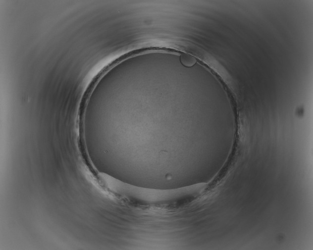 X0000116771028200912171528