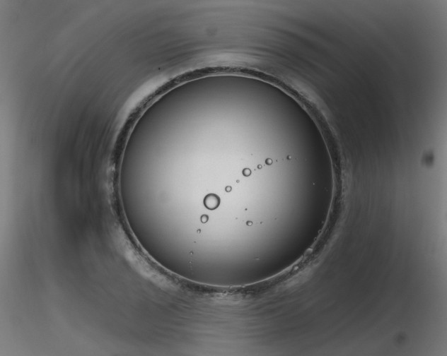 X0000116771029200912171528