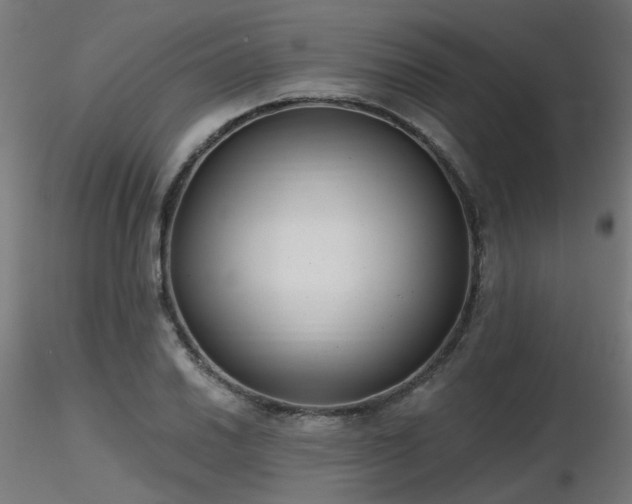 X0000116771030200912171528