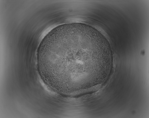 X0000116771031200912171528
