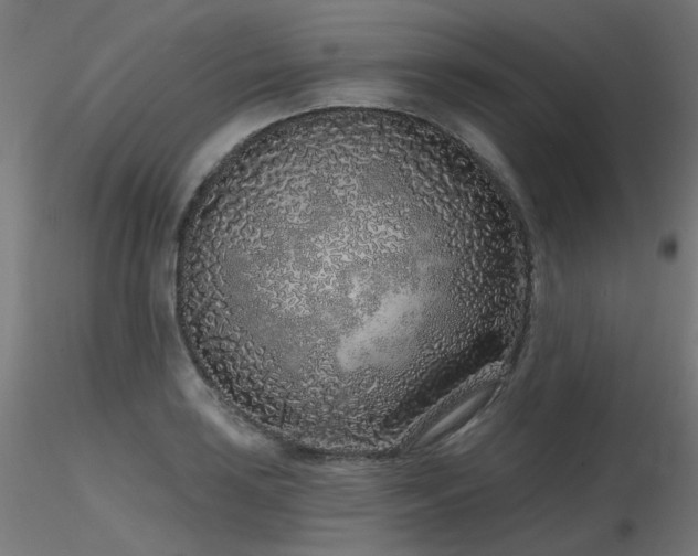 X0000116771035200912171528