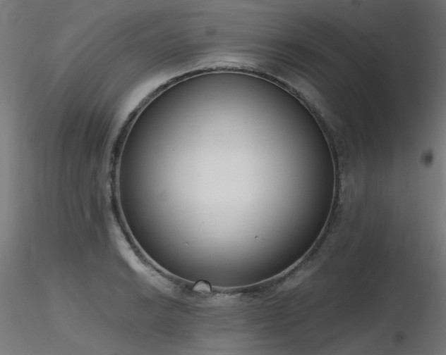 X0000116771038200912171528