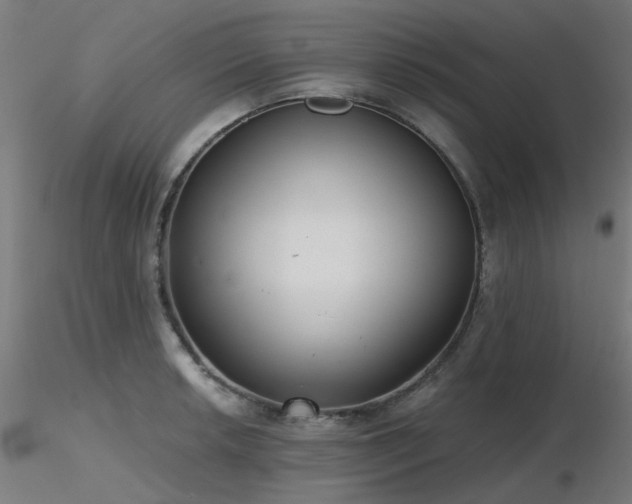 X0000116771042200912171529