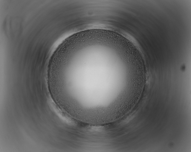 X0000116771043200912171529