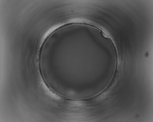 X0000116771045200912171529