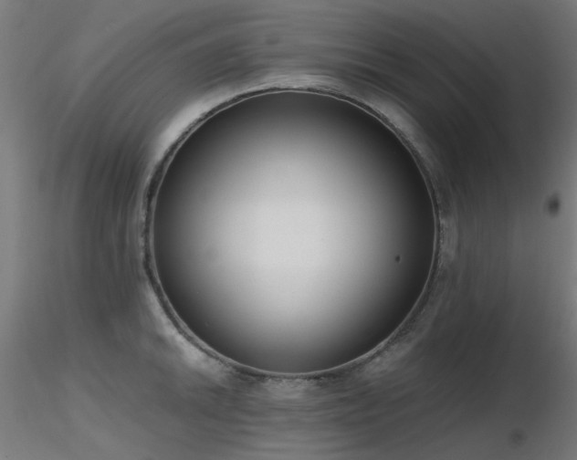 X0000116771046200912171529