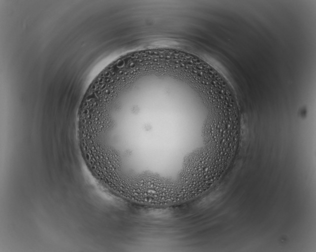 X0000116771047200912171529