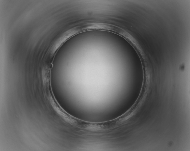 X0000116771049200912171529