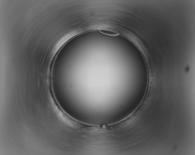 X0000116771050200912171529