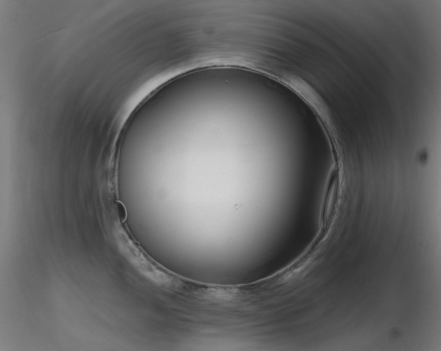 X0000116771052200912171529