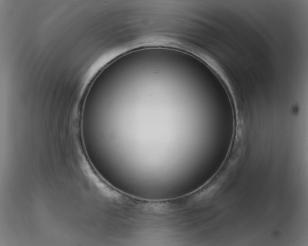 X0000116771053200912171529