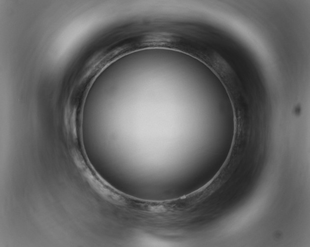 X0000116771054200912171529